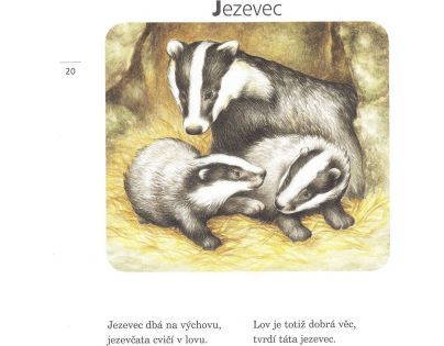 Fragment Kamarádi zvířátka CZ verzia