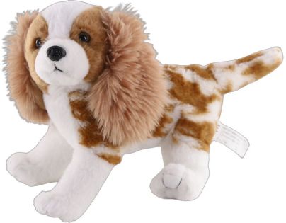 Kavalier King Charles španiel 26 cm