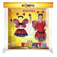 Kostým beruška 3