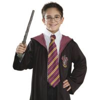 Kostým Harry Potter kravata 2