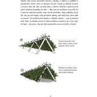 Kurz přežití pro teenagery 4