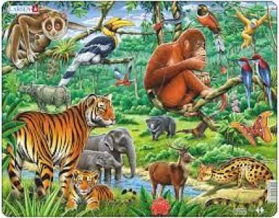 Larsen Puzzle Džungľa