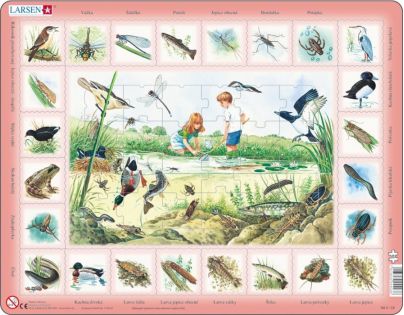 Larsen Puzzle Rybník