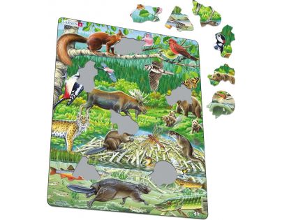 Larsen Puzzle Severský les