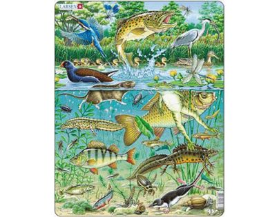 Larsen Puzzle Zvieratá v rybníku