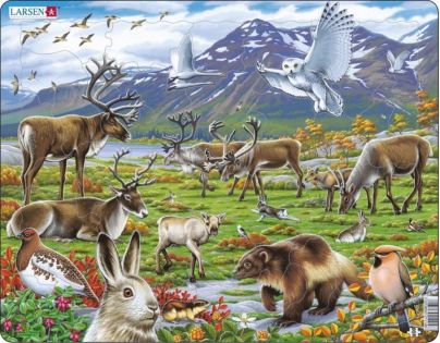Larsen Puzzle Zvieratá v stepi