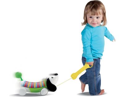 Leapfrog Jezevčík Alfabetík