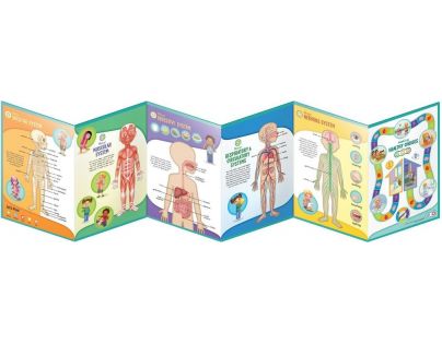 Leapfrog Poznávame ľudské telo
