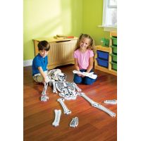 Learning resources Puzzle penové Kostra 15 dielikov - Poškodený obal 4