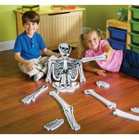 Learning resources Puzzle penové Kostra 15 dielikov - Poškodený obal 5