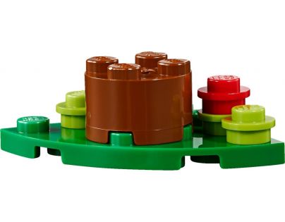 LEGO Creator 31075 Dobrodružstvá vo vnútrozemí