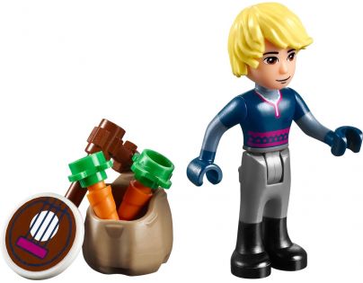 LEGO Disney Princess 41066 Dobrodružství na saních s Annou a Kristoffem