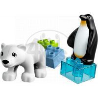 LEGO DUPLO 10501 Zoo kamarádi 2