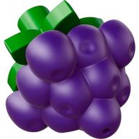 LEGO DUPLO Kostičky 10566 - Tvořivý piknik 5