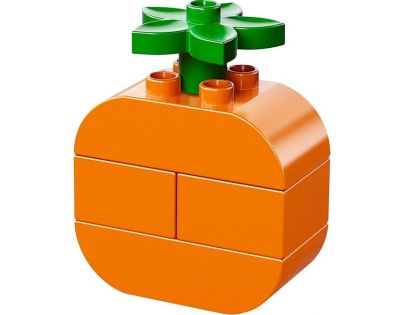 LEGO DUPLO Kostičky 10566 - Tvořivý piknik