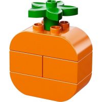 LEGO DUPLO Kostičky 10566 - Tvořivý piknik 6