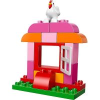 LEGO DUPLO Kostičky 10571 Růžový box plný zábavy 5