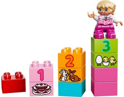 LEGO DUPLO Kostičky 10571 Růžový box plný zábavy