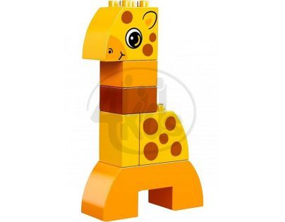 LEGO DUPLO Kostičky 10573 - Postav si zvířátka