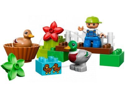 DUPLO LEGO Ville 10581 - Divoké kachny