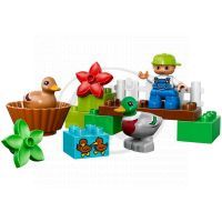DUPLO LEGO Ville 10581 - Divoké kachny 2
