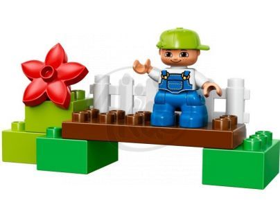 DUPLO LEGO Ville 10581 - Divoké kachny