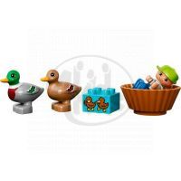 DUPLO LEGO Ville 10581 - Divoké kachny 4