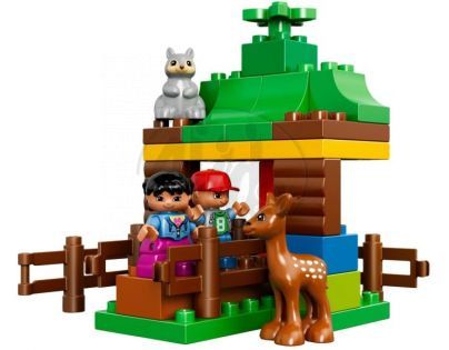 DUPLO LEGO Ville 10582 - Lesní zvířátka