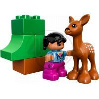 DUPLO LEGO Ville 10582 - Lesní zvířátka 6