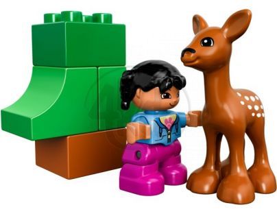 DUPLO LEGO Ville 10582 - Lesní zvířátka