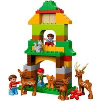 DUPLO LEGO Ville 10584 - Lesopark 4