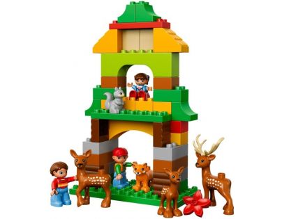 DUPLO LEGO Ville 10584 - Lesopark
