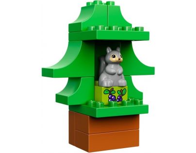 DUPLO LEGO Ville 10584 - Lesopark