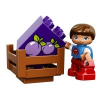 LEGO DUPLO 10615 Můj první traktor - Poškozený obal 3