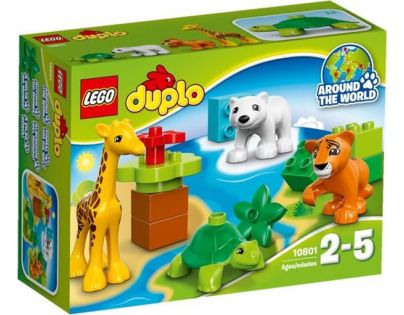 LEGO DUPLO 10801 Mláďátka