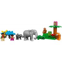 LEGO DUPLO 10804 Džungle 3