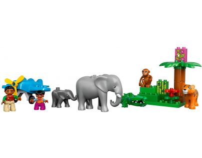 LEGO DUPLO 10804 Džungle