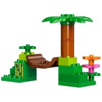 LEGO DUPLO 10804 Džungle 6