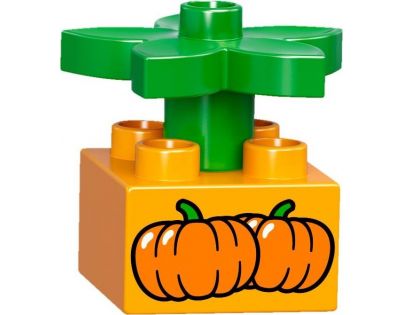 LEGO DUPLO 10810 Vláček