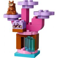 LEGO DUPLO 10822 Sofie I. a její kouzelný kočár 4