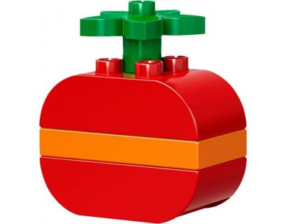 LEGO DUPLO 10853 Kreativní box pro stavitele