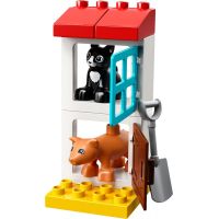 LEGO Duplo 10870 Zvieratká z farmy 4