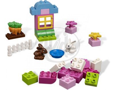 LEGO DUPLO 4623 Růžový box s kostkami