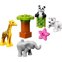 LEGO Duplo Town 10904 Zvieracie mláďatká 3