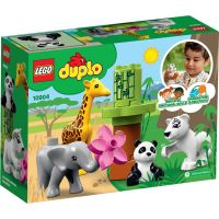LEGO Duplo Town 10904 Zvieracie mláďatká 5