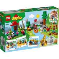 LEGO Duplo Town 10907 Zvieratá sveta - Poškodený obal 4