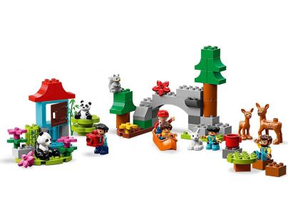LEGO® DUPLO® Town 10907 Zvieratá sveta