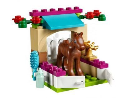 LEGO Friends 41089 - Hříbátko