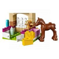 LEGO Friends 41089 - Hříbátko 4