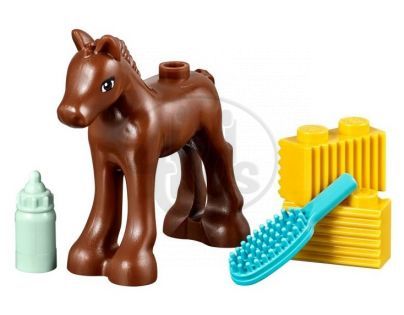 LEGO Friends 41089 - Hříbátko